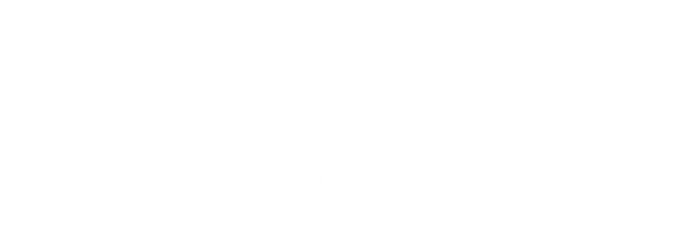 VUE